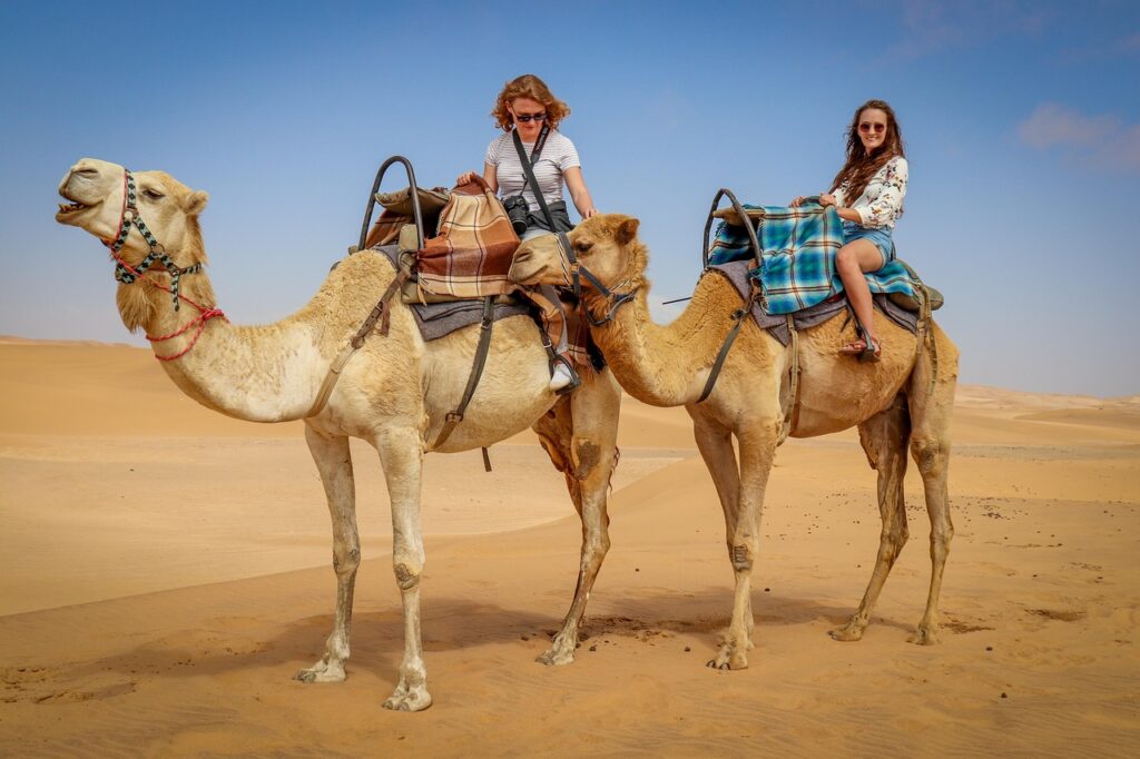 camel, desert, namib desert, blue skies, namibians, camel rides, tourism, nature, dune, brown desert